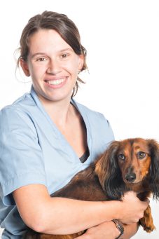 Geurts dierenklinieken Venlo-Blerick, Tegelen en Grubbenvorst Geurts dierenklinieken Venlo-Blerick, Tegelen en Grubbenvorst